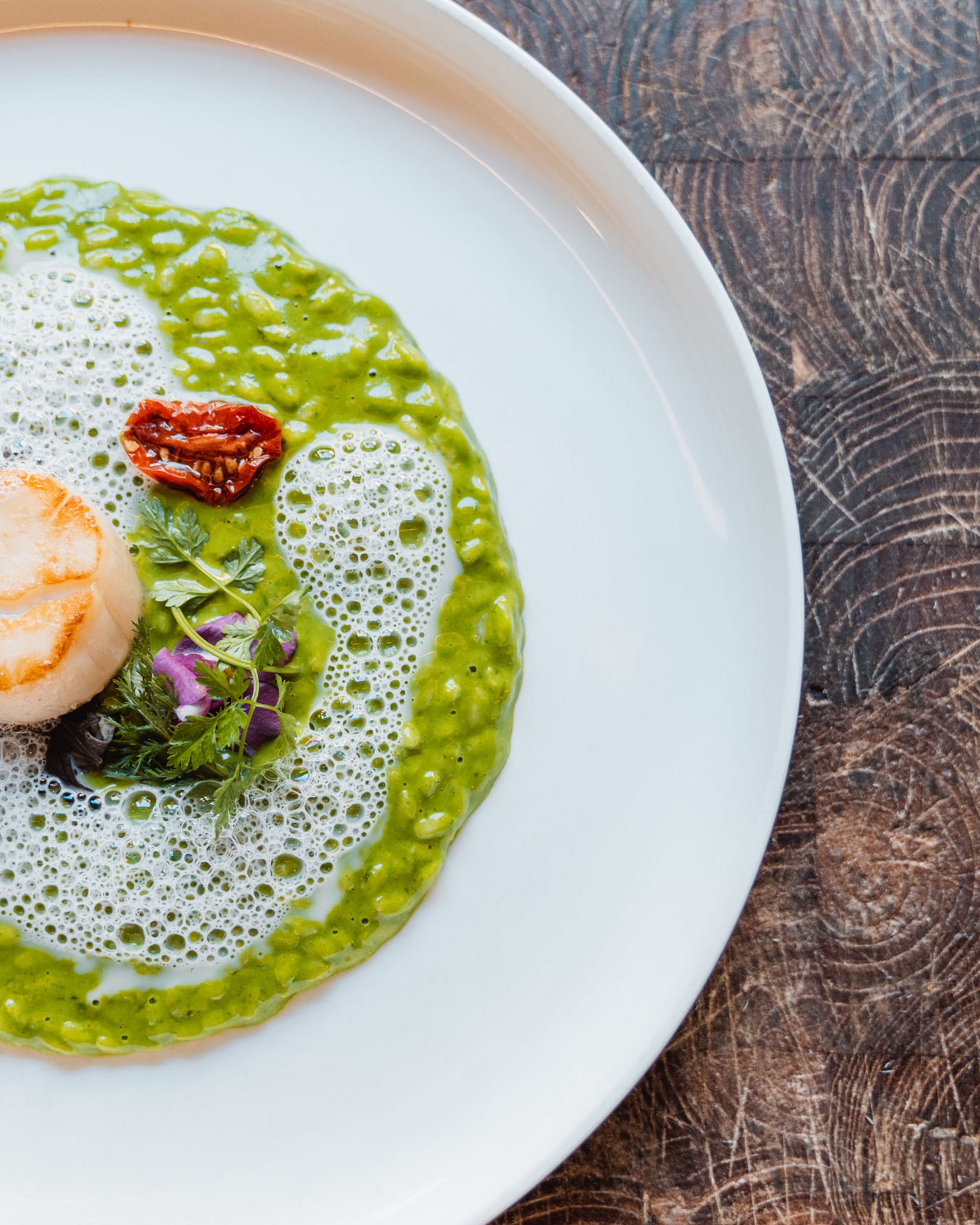 Risotto verde con capasanta e schiuma su piatto bianco