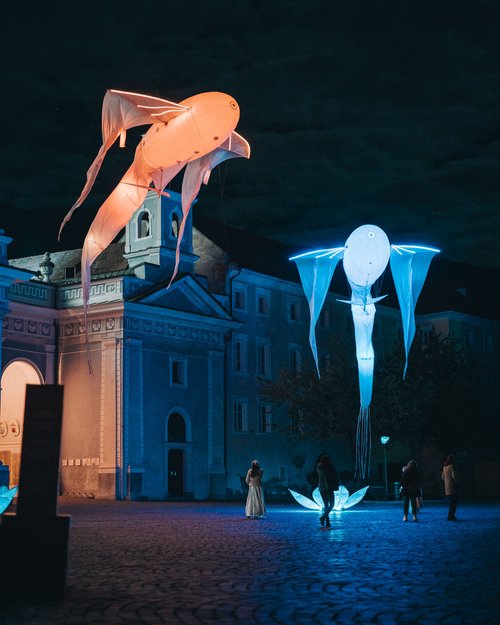 Grandi sculture luminose di pesci e persone in una piazza di notte