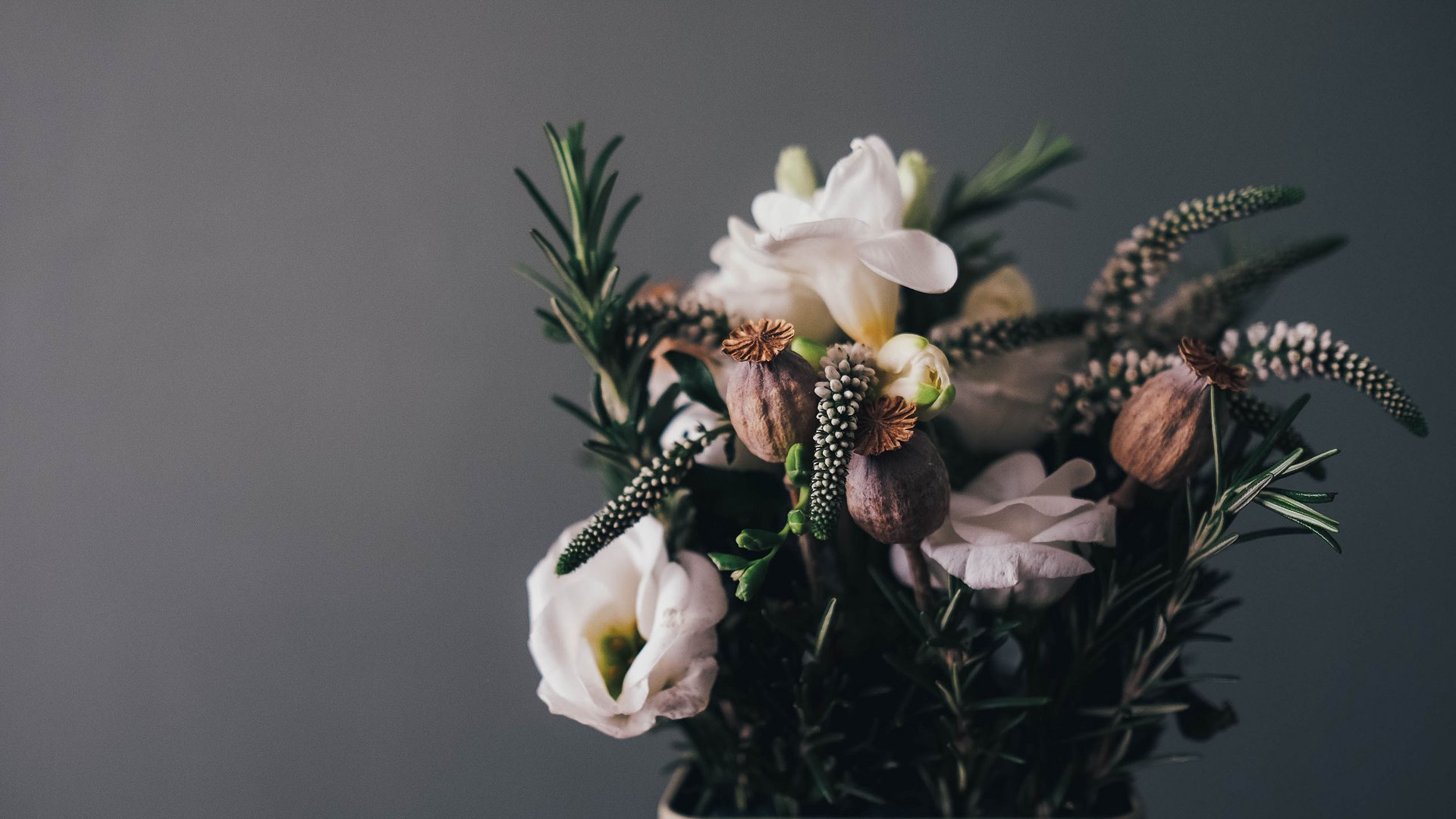 Composizione floreale con fiori bianchi e capsule di semi essiccate in vaso