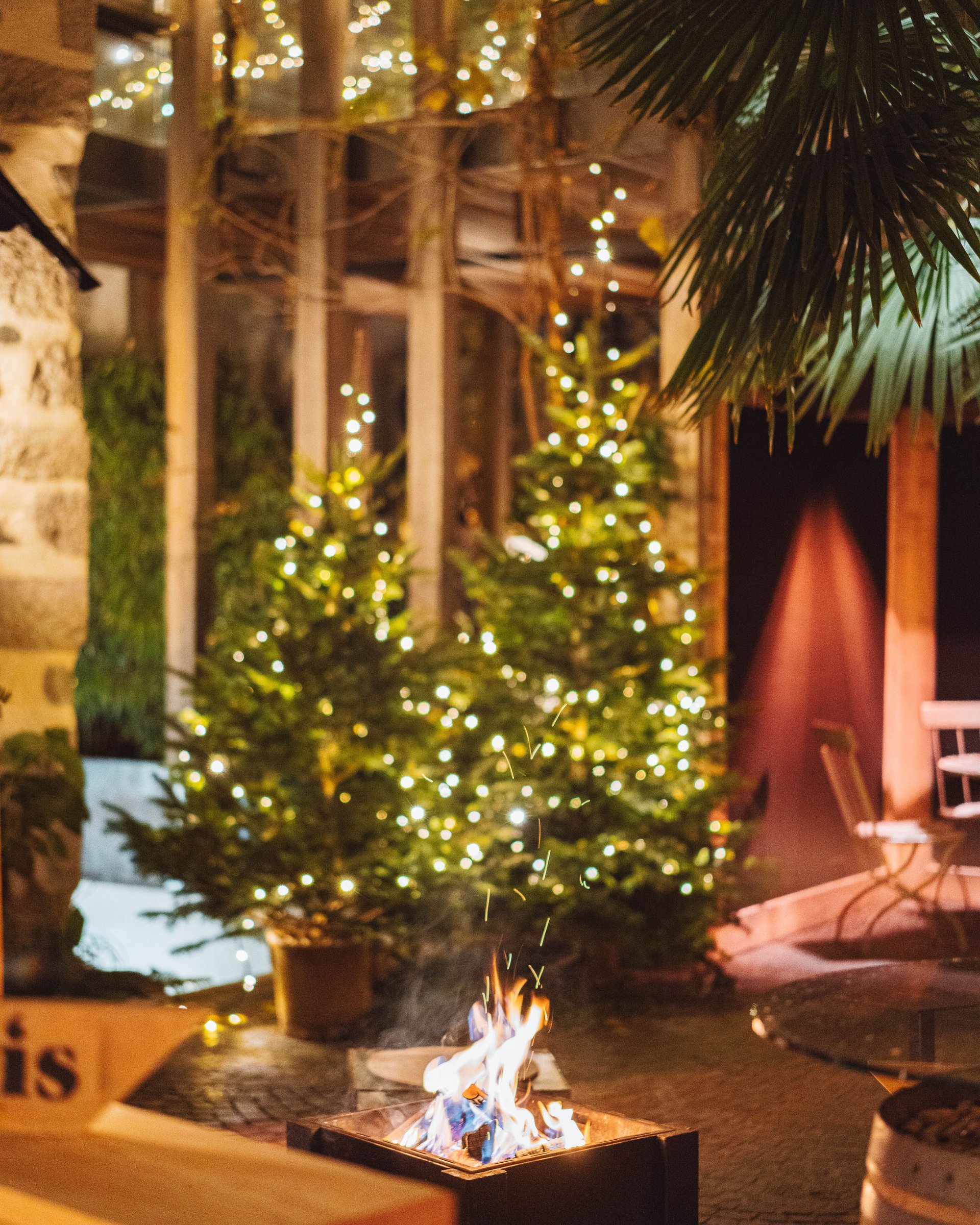 Braciere davanti ad alberi di Natale illuminati in un ambiente esterno accogliente